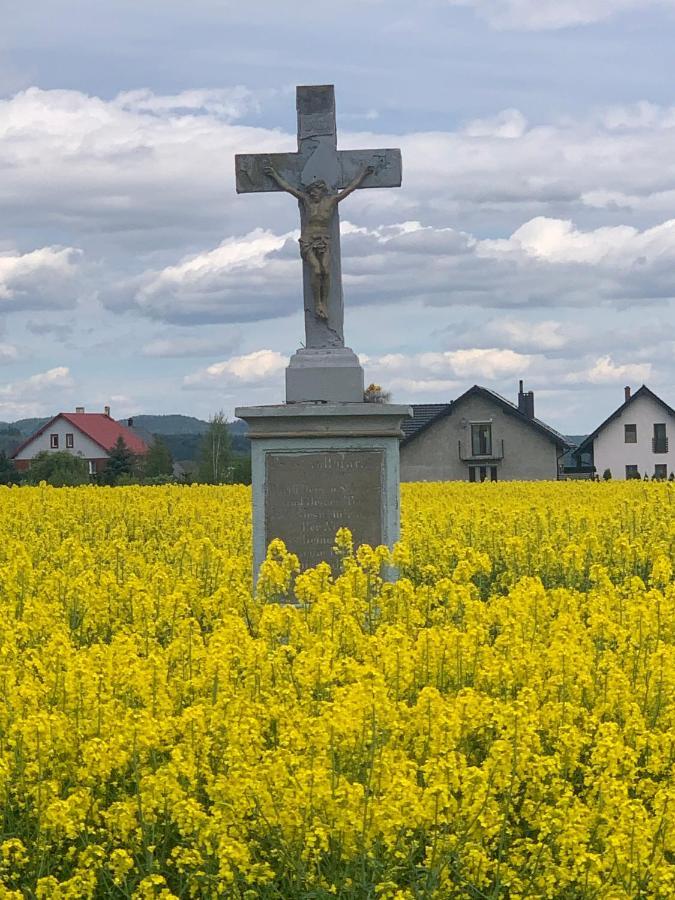 Dom Na Wzgorzu Villa Polanica-Zdrój Eksteriør billede